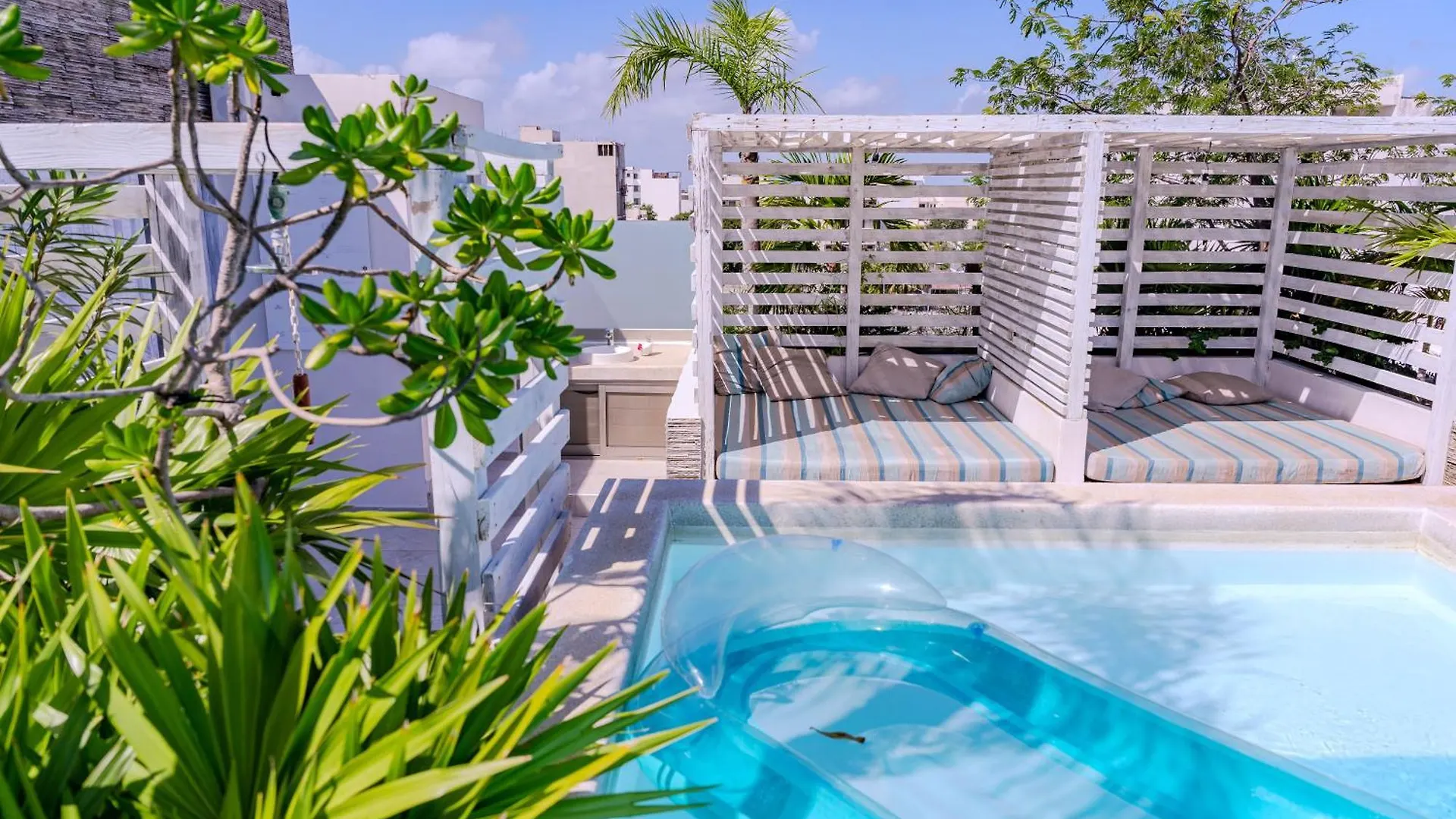 Newport House By Casago Apartment Playa del Carmen 0*,  Mexico